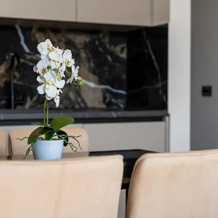 Di Montagna Wellness & Zlatibor